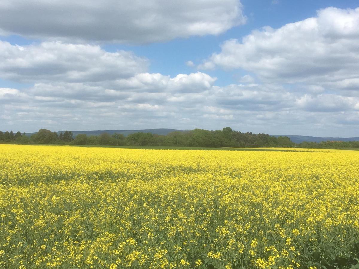 Ferienwohnungen In De Goldisch Luft Gau-Algesheim Exterior foto